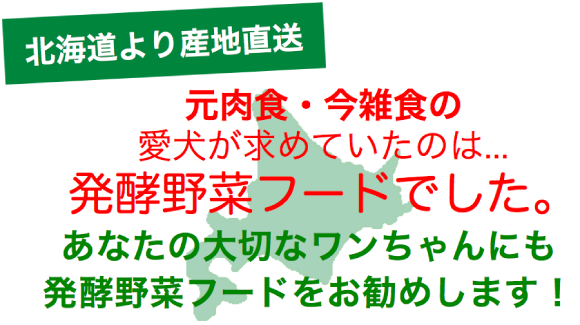 フリカケワン無料サンプル2