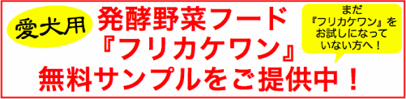 大高酵素ペットフード無料サンプル