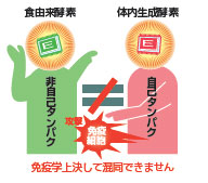 食由来酵素と体内生成酵素の違い 食由来酵素と体内生成酵素の違い