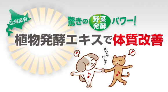 大高酵素のペットフード