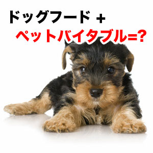 ドッグフードにフリカケワンをプラス ドッグフードにフリカケワンをプラス